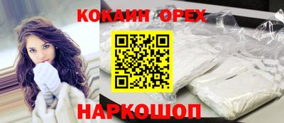 стафф Гатчина