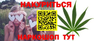 стафф Гатчина