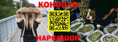 стафф Гатчина