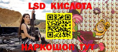 стафф Гатчина