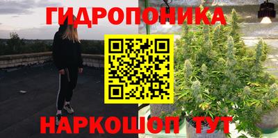 гидропоника Гагарин