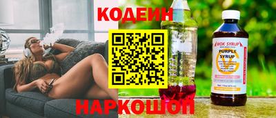 стафф Гатчина