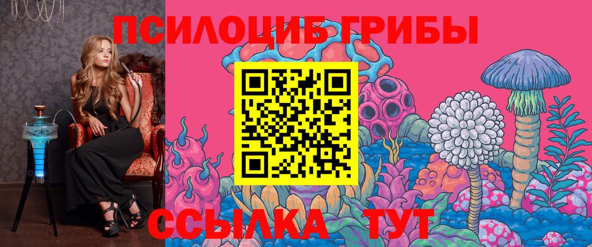 Урус-Мартан  Галлюциногенные грибы Psilocybe  Вход с VPN  Галлюциногенные грибы ЛСД 